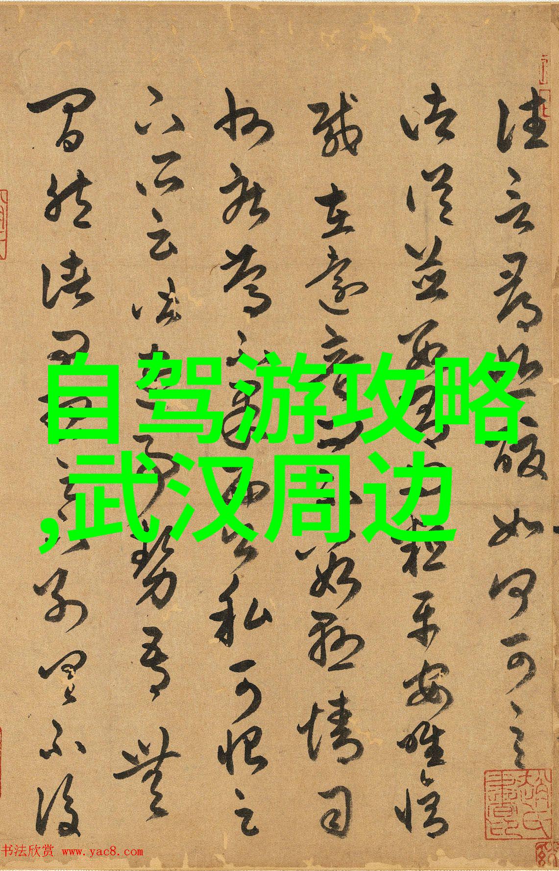 深入了解三明市博物馆藏品为何是探索中国历史的好去处