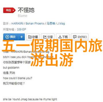 理想与现实之间的探索