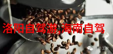 中国古典园林美景中国的文化与艺术