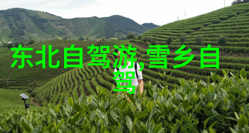 探索湘美湖南旅游地图的奇遇