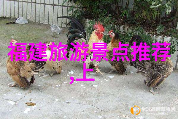 街头小吃的诱惑