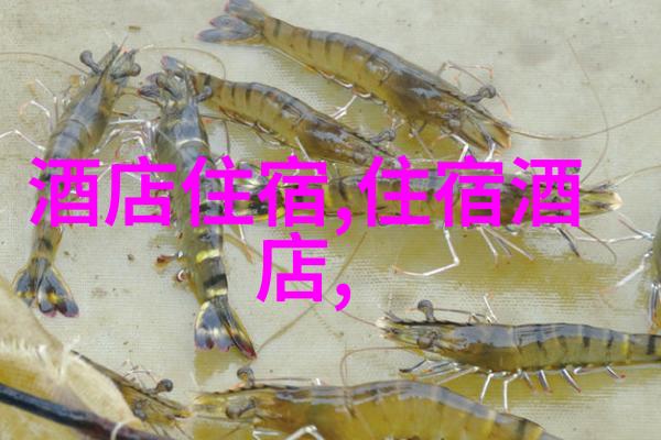 中国的出境游是哪年开始的 - 踏足世界追溯中国出境旅游史
