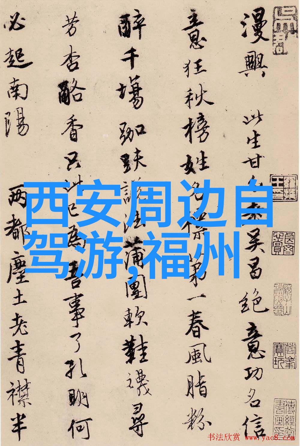 沿海之旅探索上海周边的秘密角落