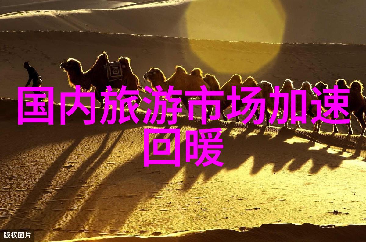 幼儿园集体户外活动有哪些-探索童年精彩的集体户外活动让孩子们在大自然中尽情嬉戏