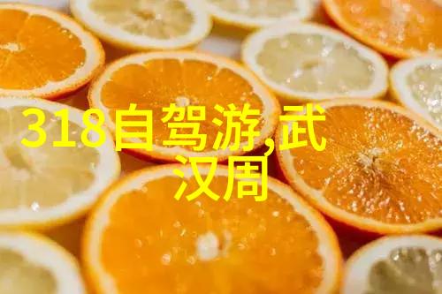 探秘奇妙岛屿四年级的冒险之旅