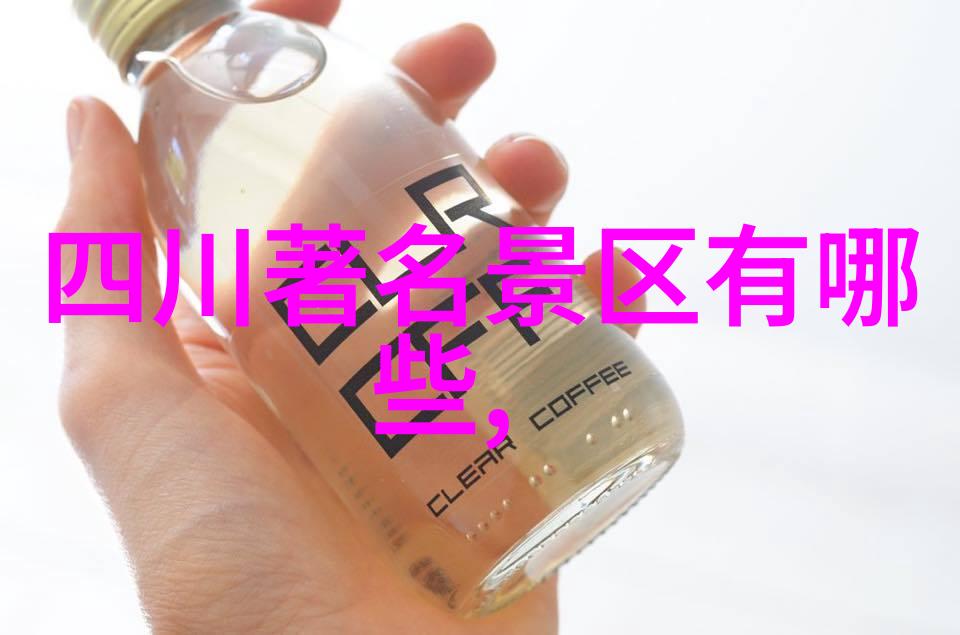 上海夜市小吃-品味上海探秘十大夜市小吃街的美味传奇