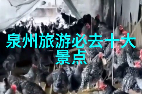 探索四川稻城亚丁的自然奇迹徒步穿越藏羌风情之地