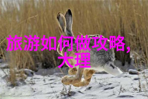 音乐与情感-笙笙悦我一段心灵的交响