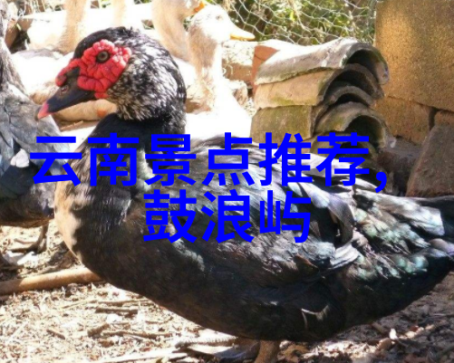 中国几时恢复出境游-重启旅行梦中国何时放宽对外游客入境限制