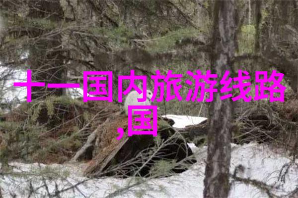 广州之旅寻宝般的住宿指南