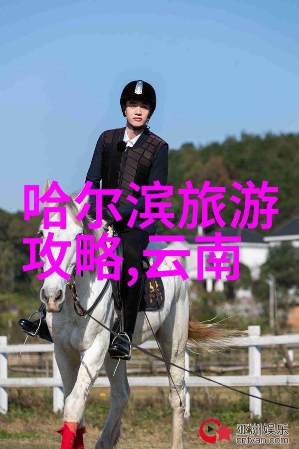 全天下为我火葬场我的无尽告别一场跨越世界的灵魂焚烧