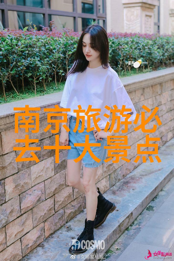 月下重现蝶影的回响