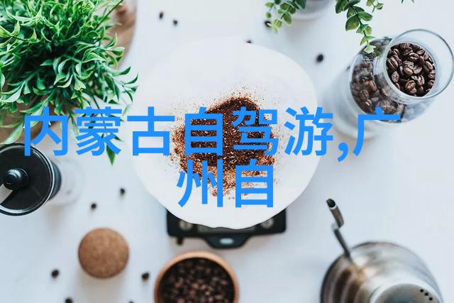 同龄旅友一起追逐风景线5060岁老朋友们