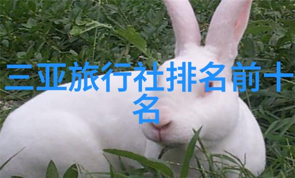 北京三日游最佳路线安排探索故宫颐和园与798艺术区