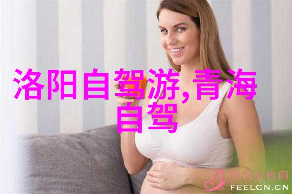 游记600字优秀作文-探索风华我的南京之旅