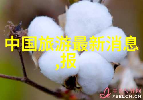 初中时光回忆与梦想的600字游记