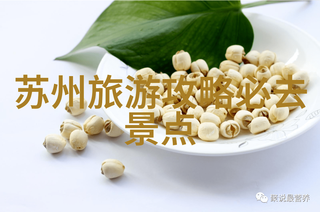 旅游网站综合排名前十 旅游网站综合排名前十名