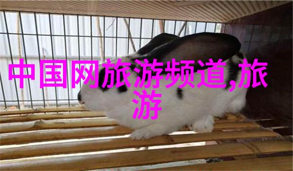 简约而不简单创作一个迷人的100字游记故事