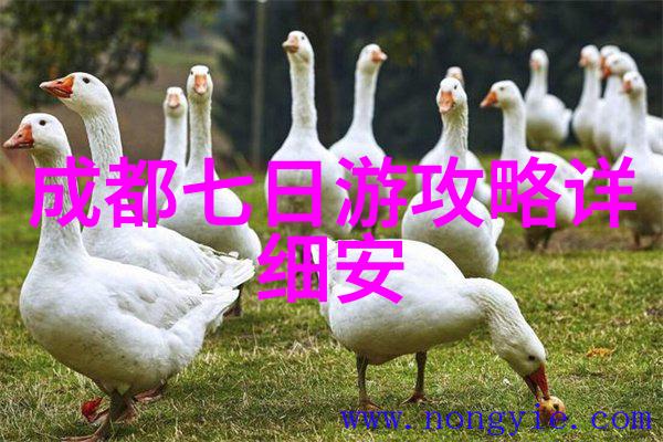 蓝月谷之所以被称为天地之心有什么特别的原因吗