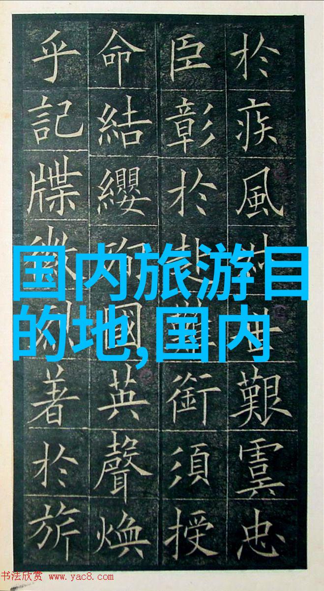 探秘丛林与城市小学生的惊喜之旅