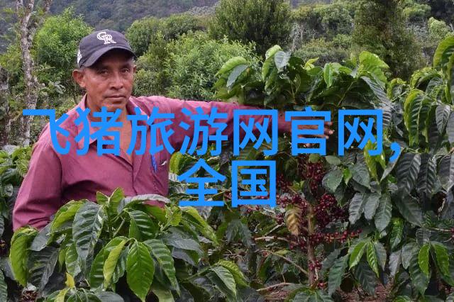 常州出发自驾一日游哪里好玩嵊泗列岛自驾游攻略