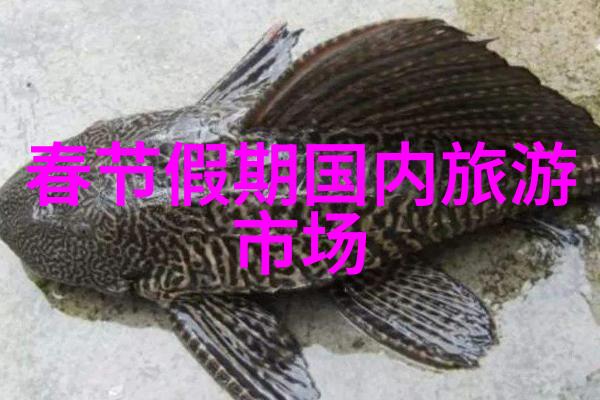 地图无界限探索最受欢迎的全球旅游地图应用