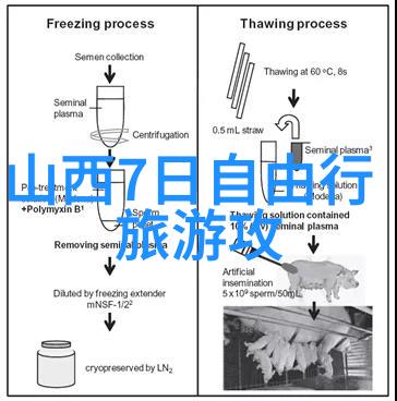 筷子惩罚屁眼之谜