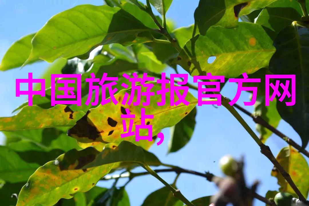 中秋佳节济南同行者共赴北京探秘旧金山街区