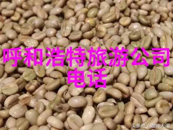 欧洲之旅10天精选行程与报价解析