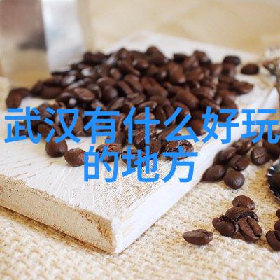 主题我国的节庆风俗一场丰富多彩的盛宴