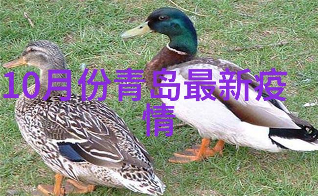 岁月悠长路远似烟火一段段回忆与期待