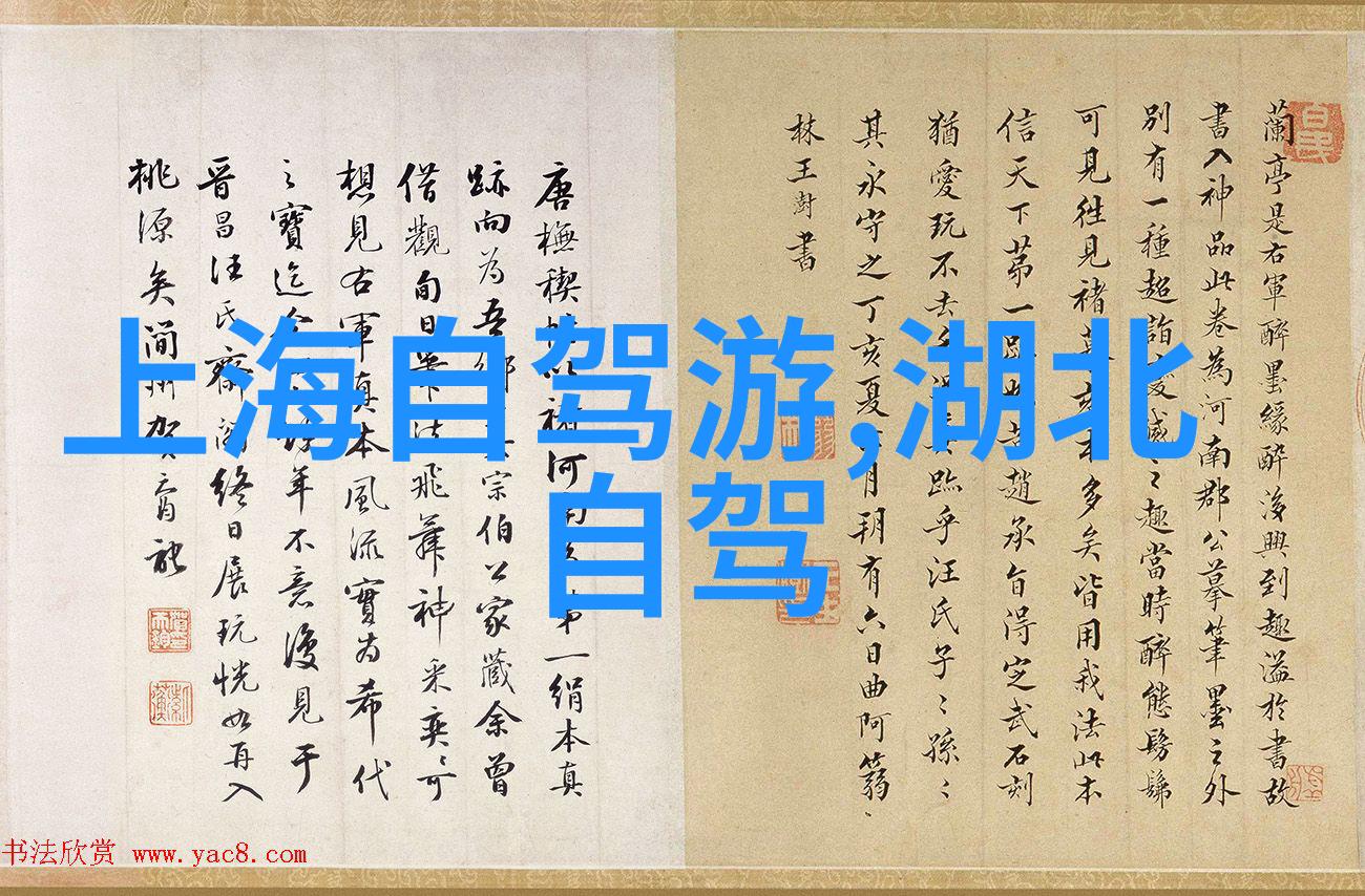 APP骑行软件下载畅游城市的智慧选择
