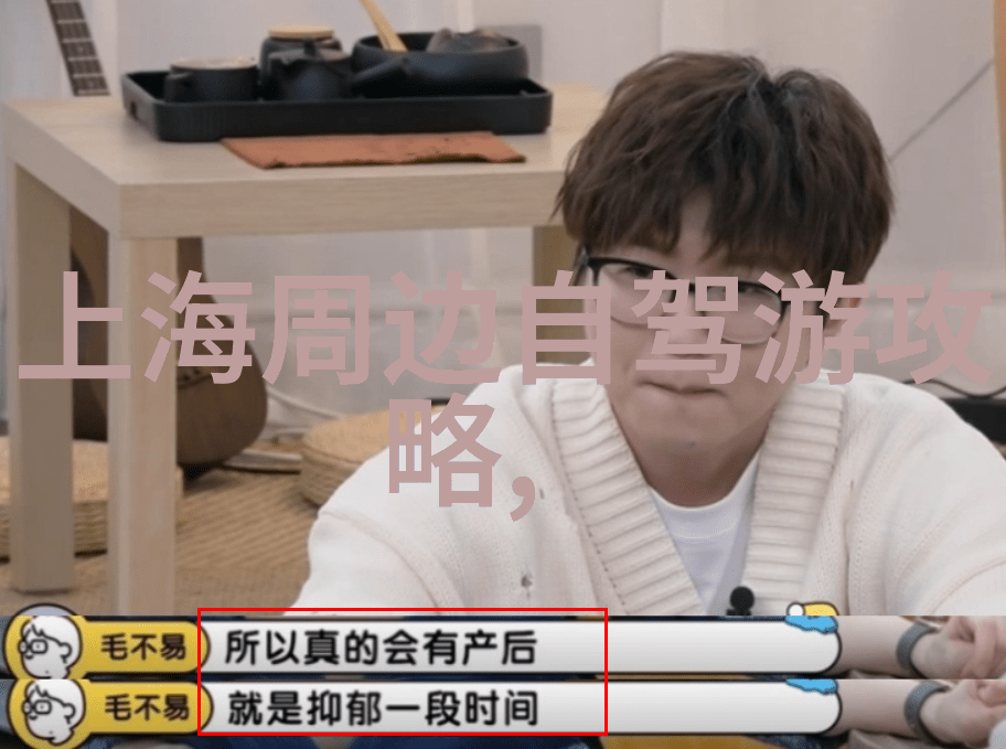 10天游俄收费标准一日一图解析费用构成