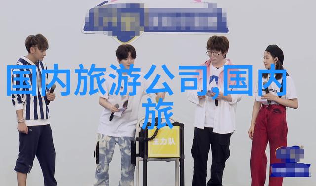 旅游咨询公司专业旅行规划与度假体验服务