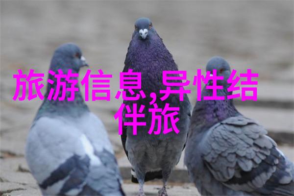 千岛湖旅游攻略探索宁夏辽阔风光的指南