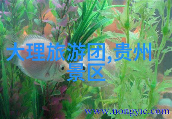剑凌九重天穿越古代的剑仙之旅