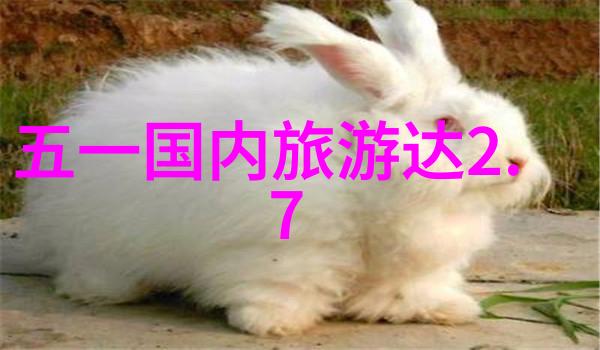 岁月的足迹探索中国出境游的起源