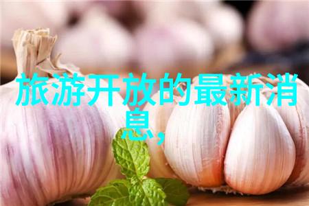 雁荡山住宿推荐从经济型到豪华选址介绍