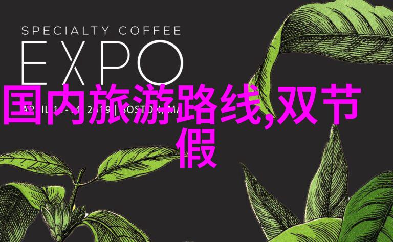 国脉纵横探索中国旅行网的奥秘