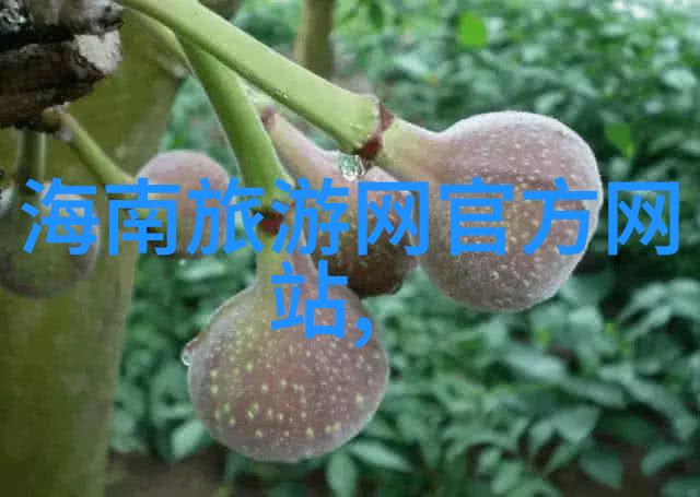 深入了解50个室内趣味惩罚活动这些游戏能带给我们什么