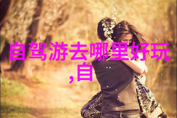 探秘行走在数字地图上的旅人哪一款应用能揭开未知之城的面纱
