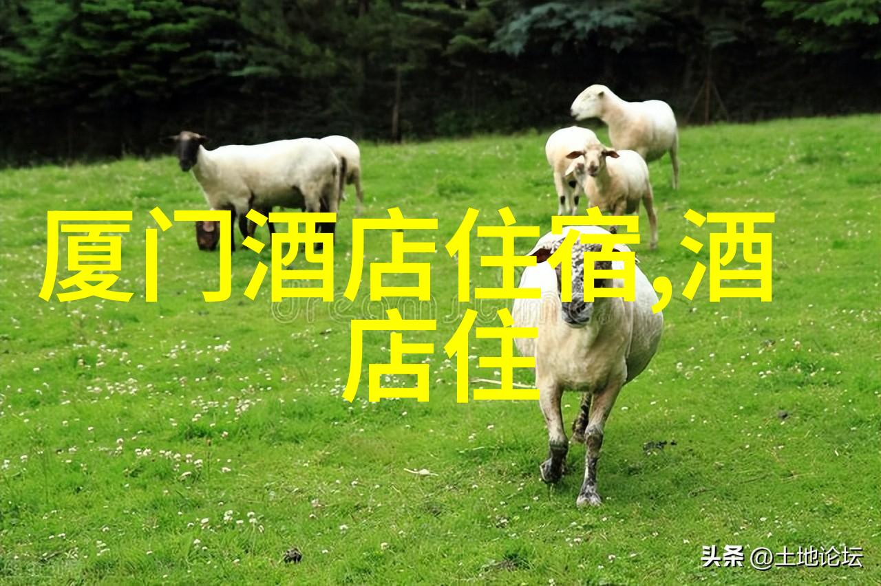 大理住宿攻略推荐 - 遇见大理最美居所品质酒店与特色民宿合集