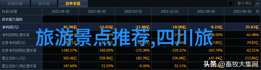 世界各地的魅力分析不同国家的生活质量与成本