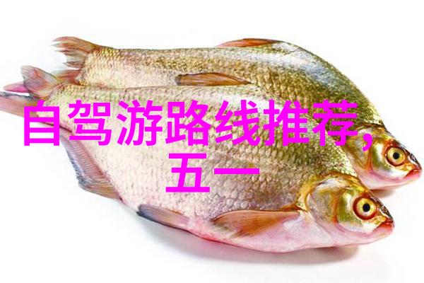 探索当地文化的舒适之选附近酒店住宿体验