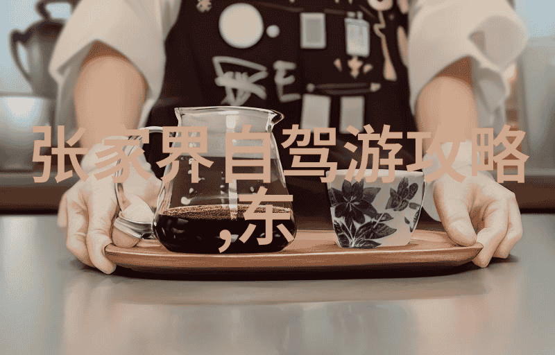 自驾游app排行榜前十名我的探险伙伴们