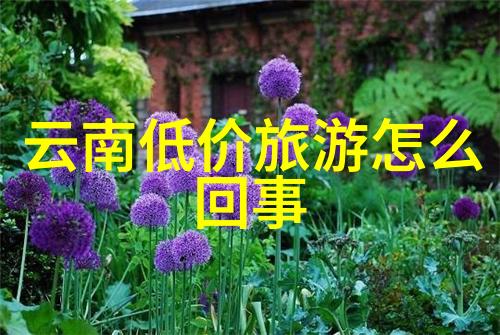北京五天四晚自由行攻略探索故宫与现代之城的魅力篇
