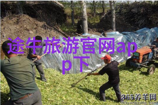 美食探秘-全球美食天堂哪个城市美味多到让人头大