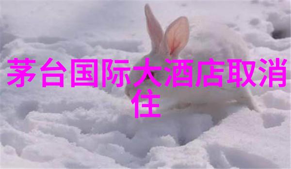 紫金港夜游指南探寻绍兴古城深夜美景秘密地图
