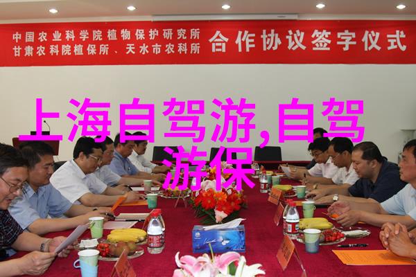 探索古镇风韵一篇游记的回忆