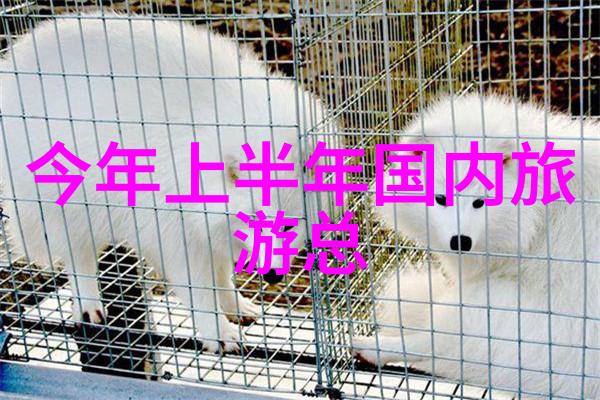 C得你舒服的探索